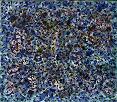 Kimene - Rumpetroll I - © Bjørg Holene