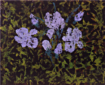 Skygger - Sørgeblomst III - Sorg III - © Bjørg Holene