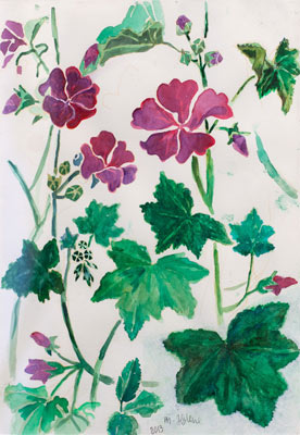  Blomkarse - © Bjørg Holene