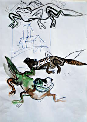Salamander - © Bjørg Holene