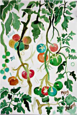Plant - © Bjørg Holene