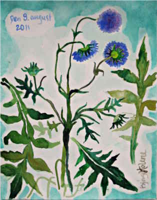Plant - © Bjørg Holene