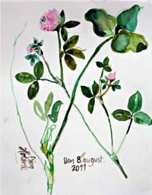 Plant - © Bjørg Holene