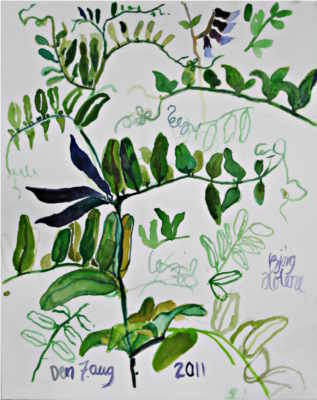 Plant - © Bjørg Holene