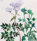 Arrivederci Botticelli 1 - © Bjørg Holene