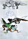 Salamander - © Bjørg Holene
