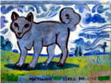 Hund - © Bjørg Holene
