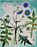 Plante - © Bjørg Holene